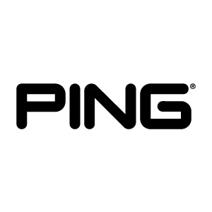 Ping-Logo
